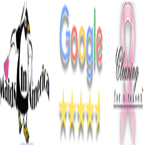 Maids In America logo